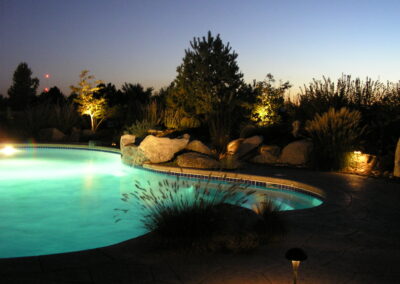 Custom Freeform Swimming Pool - Douglas County, CO